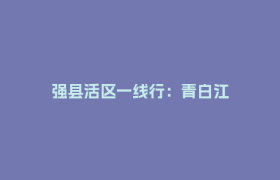强县活区一线行：青白江