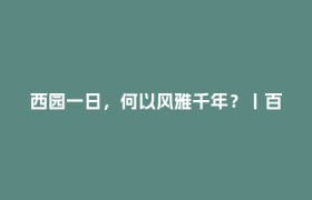 西园一日，何以风雅千年？丨百馆百物·四川宝藏第四季
