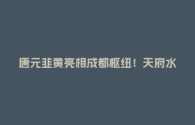 唐元韭黄亮相成都枢纽！天府水源地农品香飘四方