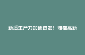 新质生产力加速迸发！郫都高新区全力决战收官季