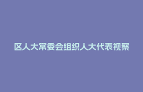 区人大常委会组织人大代表视察乡村振兴促进工作推进情况