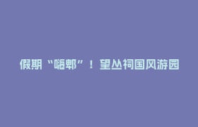 假期“嗨郫”！望丛祠国风游园、非遗烟火承包假日快乐