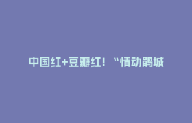 中国红+豆瓣红! “情动鹃城 香遇蓉城”鹃城公交车挑战赛启幕