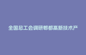 全国总工会调研郫都高新技术产业园区工会工作